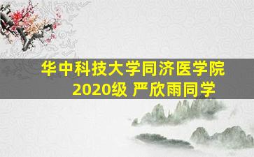 华中科技大学同济医学院2020级 严欣雨同学